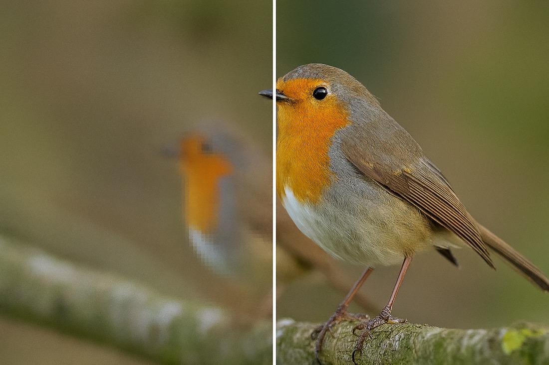 A low-resolution image upscaled and sharpened